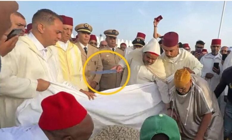 زلزال إداري بعد عيد الأضحى.. إعفاء والي فاس ووالي مراكش بسبب "ذبيحة العيد" % زلزال إداري بعد عيد الأضحى.. إعفاء والي فاس ووالي مراكش بسبب "ذبيحة العيد"