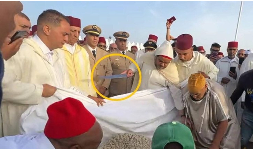 زلزال إداري بعد عيد الأضحى.. إعفاء والي فاس ووالي مراكش بسبب "ذبيحة العيد"