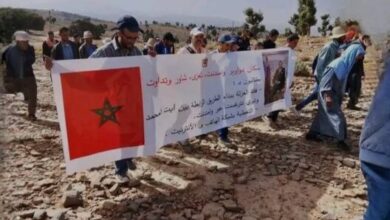 687febe73c8d6 528x410 1