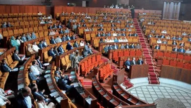 برلمانية بـ"جينز وكعب عالٍ" تُفجّر نقاشاً دستورياً داخل قبة البرلمان