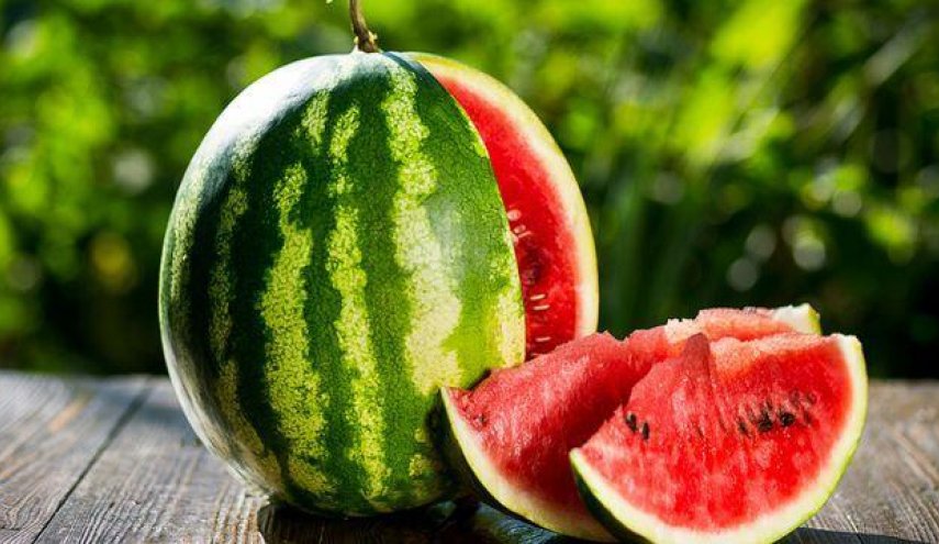 البطيخ المغربي يغزو فرنسا ويتجاوز منافسه الإسباني % البطيخ المغربي يغزو فرنسا ويتجاوز منافسه الإسباني