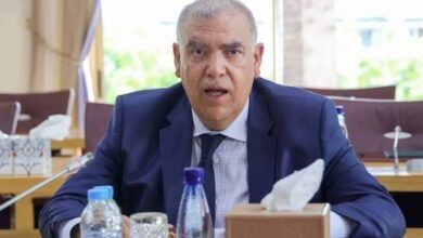 528140023 1332777865523791 8359312438615135217 n