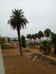 529723314 744356164962553 6624827191327932068 n