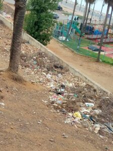 529863578 744343301630506 2557048812945972548 n