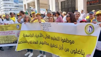 WhatsApp Image 2025 08 26 at 17.08.53