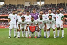 الجامعة تطلب حماية الأسود قبل موقعة تنزانيا