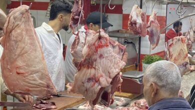 ارتفاع أسعار لحوم الأبقار يرهق جيوب المغاربة