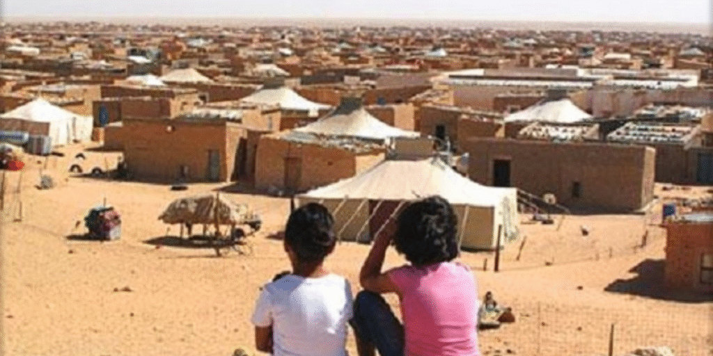 من جنيف.. منظمات حقوقية تفضح انتهاكات مخيمات تندوف