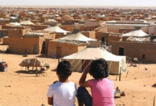 من جنيف.. منظمات حقوقية تفضح انتهاكات مخيمات تندوف