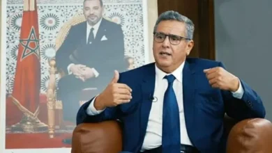 التعددية السياسية ضمانة الاستقرار وفق رؤية أخنوش