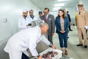 dfbe4880 192a 402e bca2 f4f6afe66098