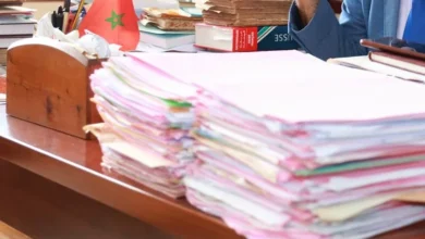 فضيحة تفويت أراضٍ جماعية.. استثمار أم نهب مقنّن؟