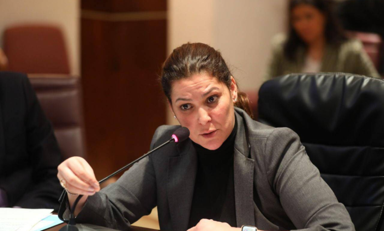 المنصوري على عتبة التاريخ: هل تصبح أول إمرأة تقود حكومة المغرب؟ % المنصوري على عتبة التاريخ: هل تصبح أول إمرأة تقود حكومة المغرب؟