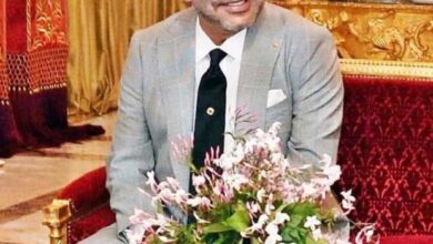 2ffb22e8 8aad 404e 8ded 347ae58d1650 620x749 1