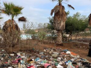 572959773 1244761167683128 2366456160253714174 n