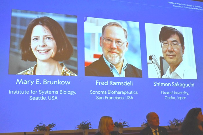 نوبل الطب 2025... حين يكتشف العلماء سرّ توازن المناعة بين الحياة والدمار