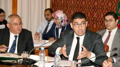 سعيد الناصري يفضح “ثقافة المستشارين” داخل وزارة بنسعيد % سعيد الناصري يفضح “ثقافة المستشارين” داخل وزارة بنسعيد