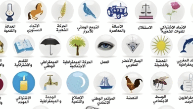 الخلود السياسي.. أزمة في تجديد النخب