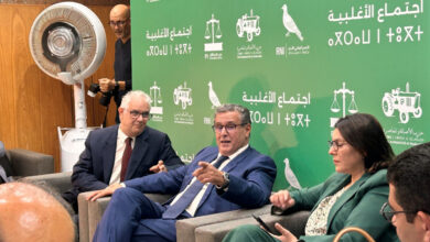 توتر داخل الأغلبية الحكومية وسط تصاعد احتجاجات الشباب % توتر داخل الأغلبية الحكومية وسط تصاعد احتجاجات الشباب