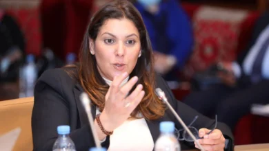 المنصوري.. هل تصلح لرئاسة الحكومة المقبلة؟