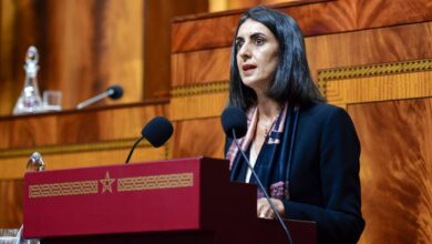 نادية فتاح: وزيرة الاقتصاد.. في غيبوبة سياسية مُزمنة...