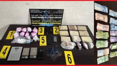 583335484 1183360860565872 7783079237056843510 n