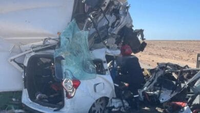 588309792 857051690352669 1812523011022364294 n