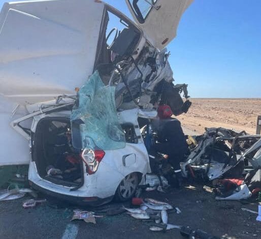 588309792 857051690352669 1812523011022364294 n