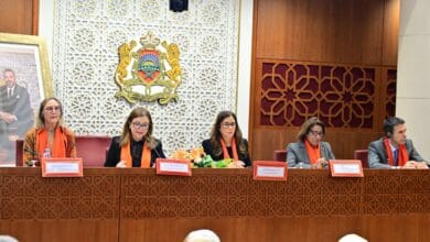 بن يحيى: القيمة الاقتصادية للعمل المنزلي بالمغرب تبلغ 513 مليار درهم