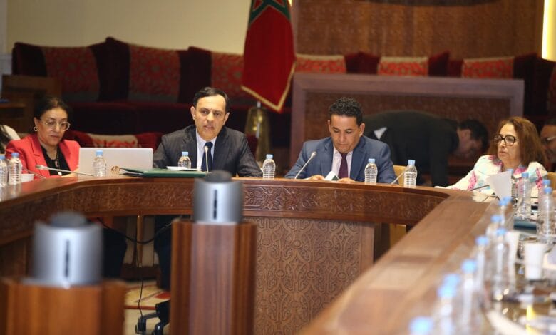 صراع المناصب داخل الوزارة يكشف هشاشة الحكامة في قطاع التكوين المهني % صراع المناصب داخل الوزارة يكشف هشاشة الحكامة في قطاع التكوين المهني