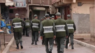 force auxilliaire 248975770