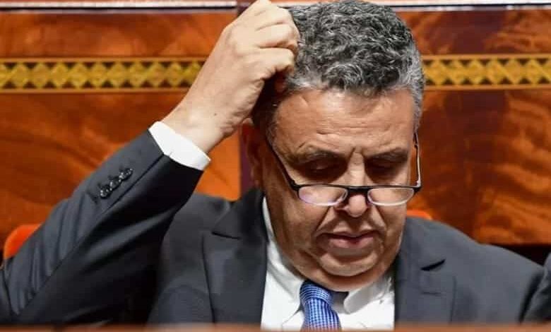 وهبي.. وزير العدل الذي تاه بين الحداثة والتهريج % وهبي.. وزير العدل الذي تاه بين الحداثة والتهريج