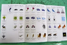 لماذا يبدو المشهد السياسي في المغرب أقرب للسخرية؟