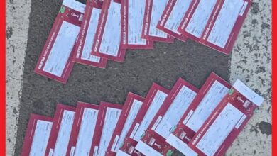 603843663 851106667662021 1999266136995434964 n