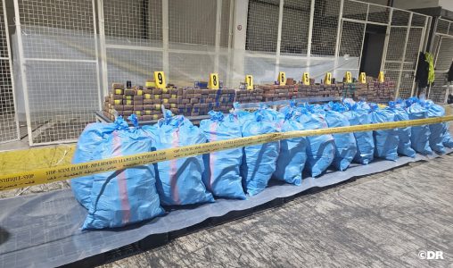 604526306 1193030086294466 9106909946789634028 n