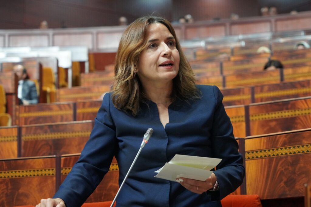 بنعلي تكشف خطة إصلاح القطاع المعدني لتعزيز السيادة الاقتصادية للمغرب