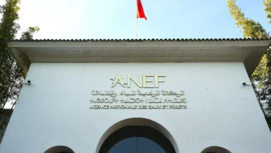 وكالة المياه والغابات بعد دورة أخنوش: مجلس غائب وإصلاح معلّق