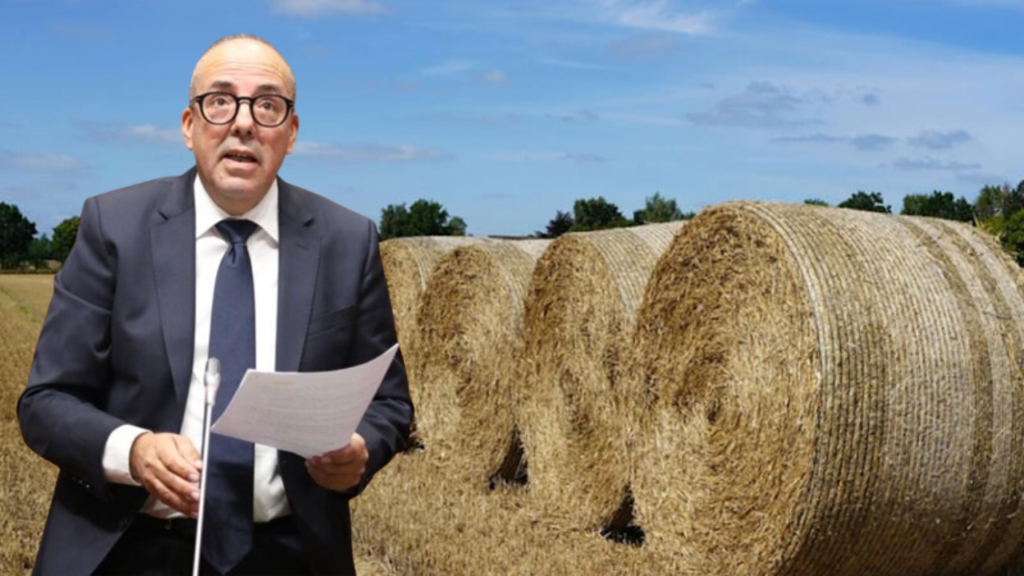 Du bétail au foin importé : la dérive silencieuse de l’agriculture marocaine % Du bétail au foin importé : la dérive silencieuse de l’agriculture marocaine