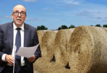 Du bétail au foin importé : la dérive silencieuse de l’agriculture marocaine