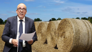 من الأبقار إلى التبن… هكذا تُدار الفلاحة عند البواري