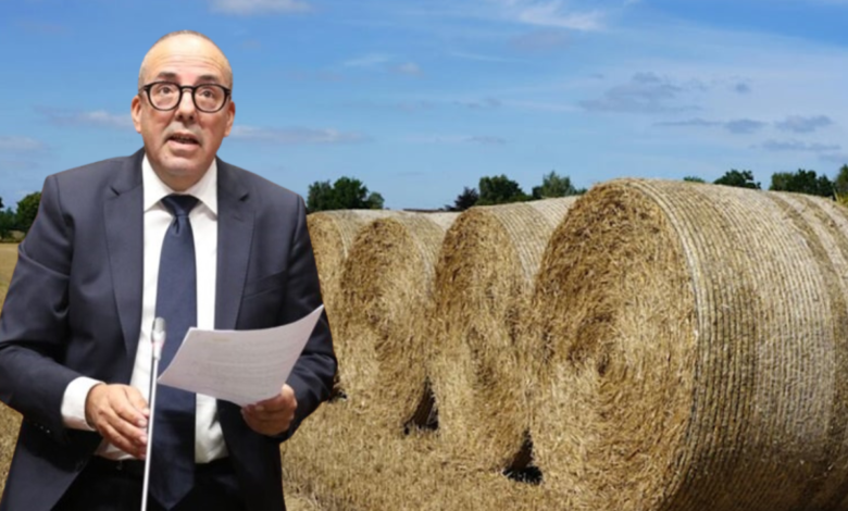 من الأبقار إلى التبن… هكذا تُدار الفلاحة عند البواري