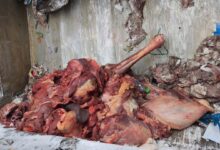 إحباط شبكة لترويج لحوم فاسدة بحي الفردوس بسلا وحجز مواد خطيرة