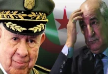 حين تتحوّل الجالية إلى “ملف أمني”: النظام الجزائري وفضيحة اللعب خارج الحدود