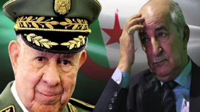 حين تتحوّل الجالية إلى “ملف أمني”: النظام الجزائري وفضيحة اللعب خارج الحدود % حين تتحوّل الجالية إلى “ملف أمني”: النظام الجزائري وفضيحة اللعب خارج الحدود