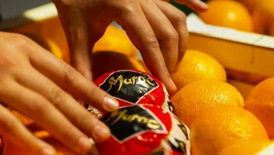 البرتقال المغربي يعود إلى الواجهة رغم العطش والمنافسة