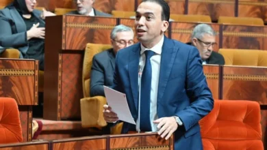 Artisanat au Maroc : la gestion de Lahcen Saâdi sous le feu des critiques