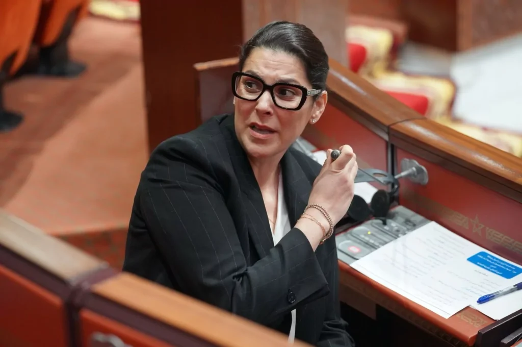 ديواني يسائل الوزيرة المنصوري حول إشكالات التهيئة السكنية بجماعة تامري % manssouri 1