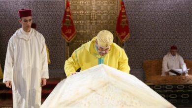 645428706 1243417071255767 3978067233104284068 n