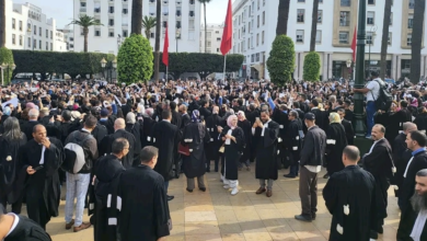 لقاء رئيس الحكومة بالمحامين يؤجل قانون المهنة ويهدئ الإضراب % لقاء رئيس الحكومة بالمحامين يؤجل قانون المهنة ويهدئ الإضراب