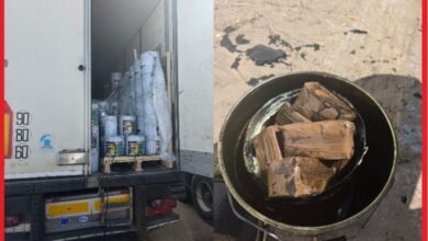 Screenshot 20260206 120214 Write on PDF 730x470 1